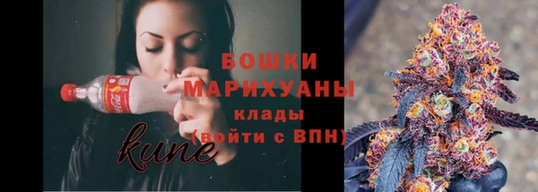 гашик Белокуриха