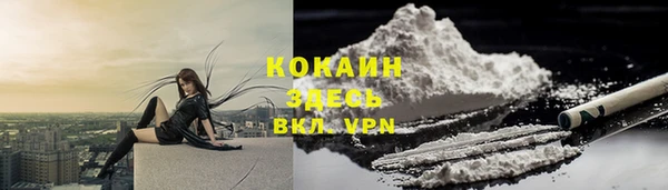 гашик Белокуриха