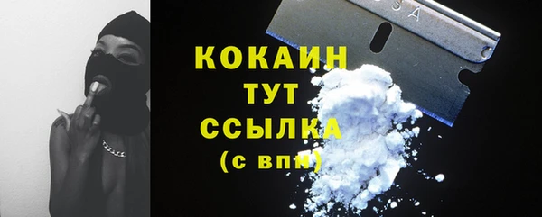 гашик Белокуриха