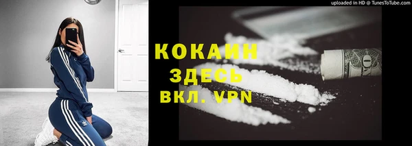 гашик Белокуриха