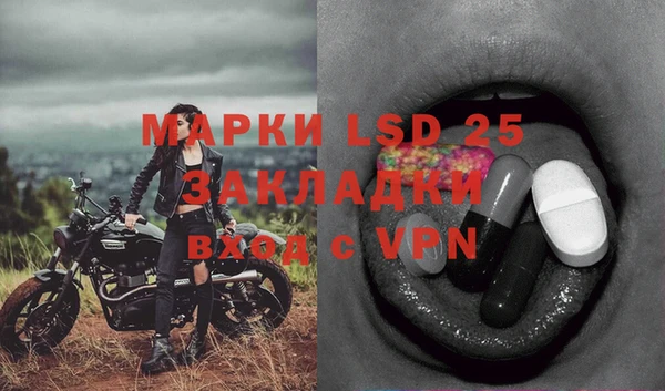 гашик Белокуриха