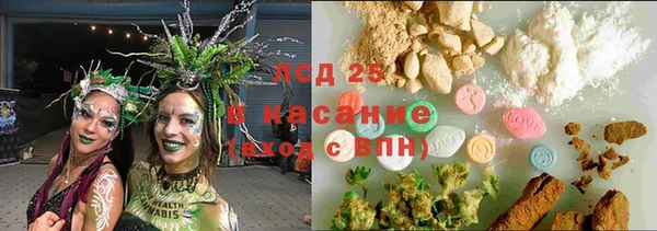 гашик Белокуриха