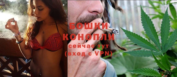 гашик Белокуриха