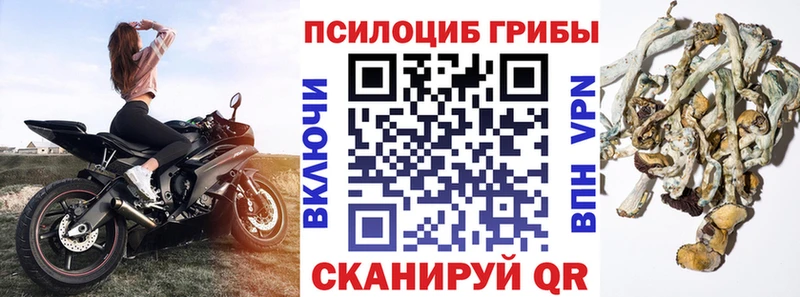 Псилоцибиновые грибы мицелий  МЕГА ссылки  Кузнецк  закладка 
